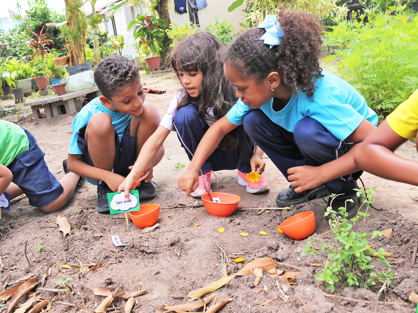 UMA AVENTURA PELA NATUREZA - 2º ANO - 06/03/2025