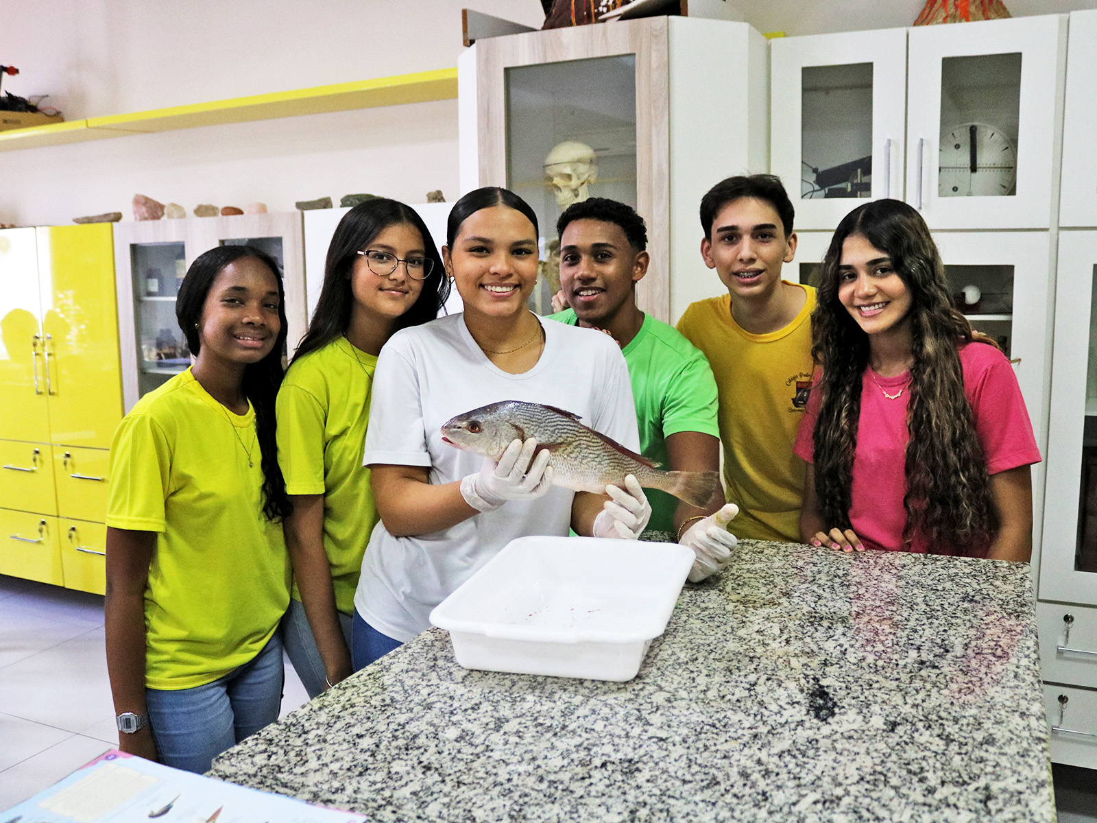  AULA PRÁTICA DE BIOLOGIA  - 1ª SÉRIE - 06/11/2025